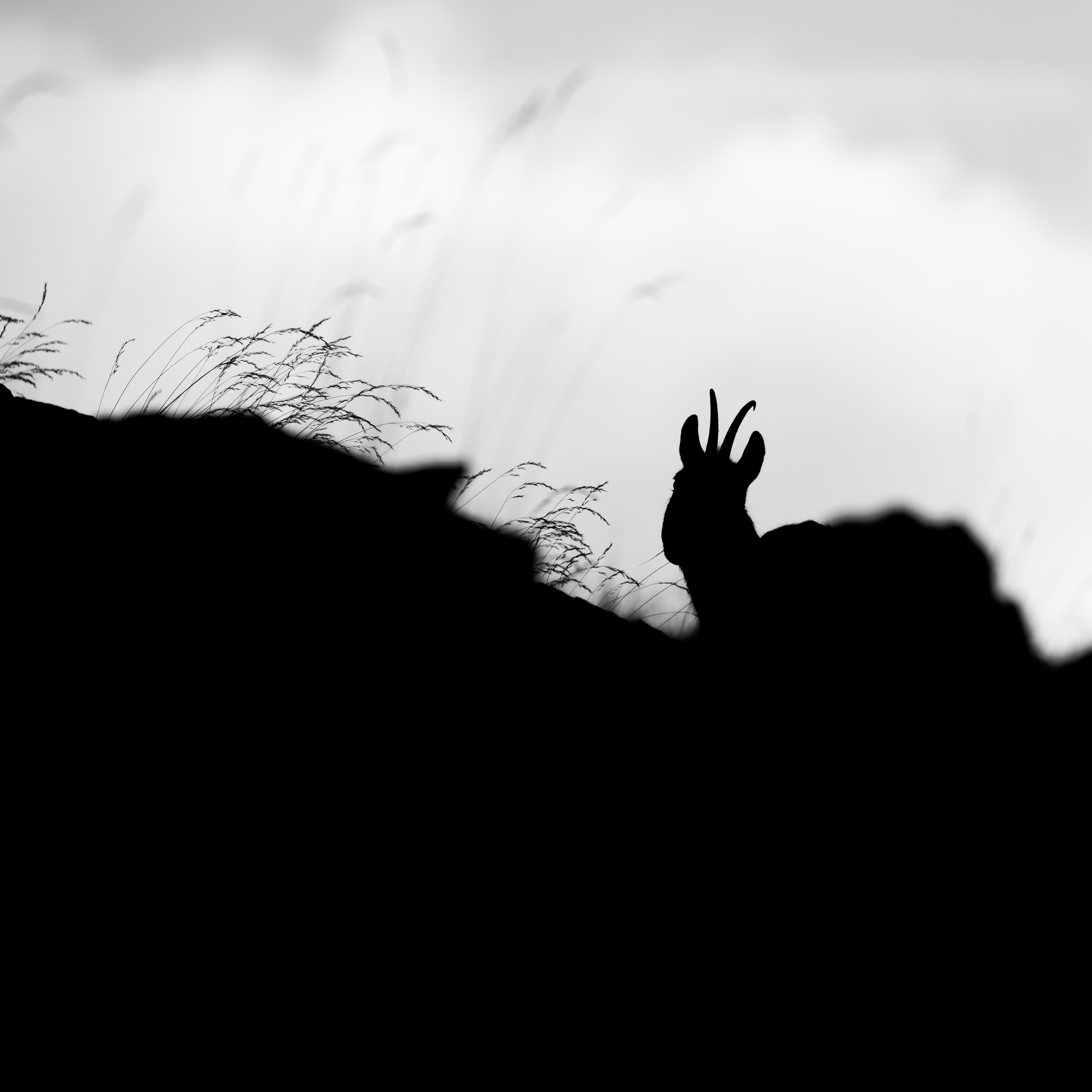 Tirage d'art paysage